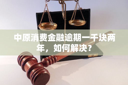 中原消费金融逾期一千块两年，如何解决？