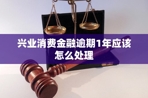 兴业消费金融逾期1年应该怎么处理