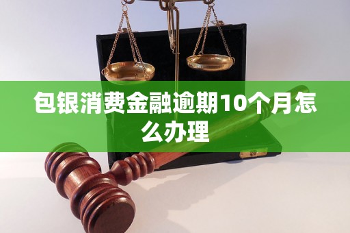 包银消费金融逾期10个月怎么办理