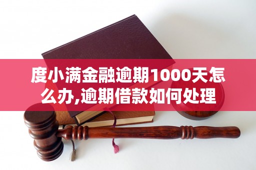 度小满金融逾期1000天怎么办,逾期借款如何处理