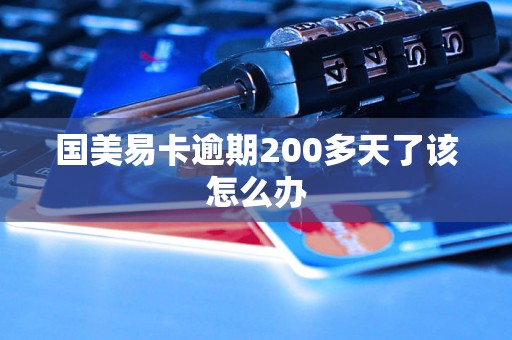 国美易卡逾期200多天了该怎么办