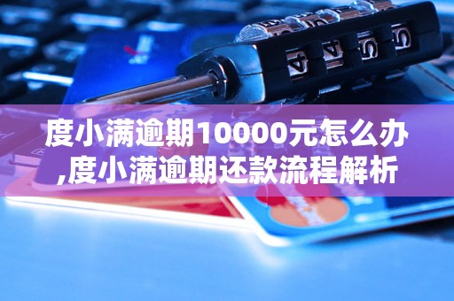 度小满逾期10000元怎么办,度小满逾期还款流程解析