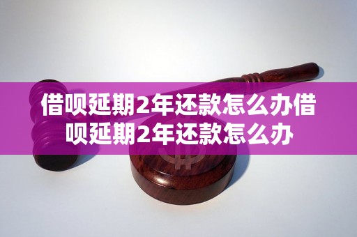 借呗延期2年还款怎么办借呗延期2年还款怎么办