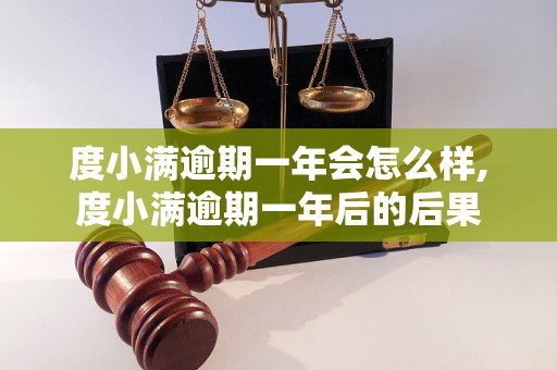 度小满逾期一年会怎么样,度小满逾期一年后的后果