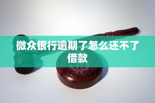 微众银行逾期了怎么还不了借款