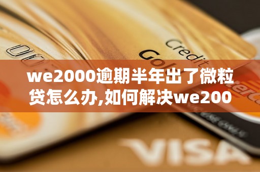 we2000逾期半年出了微粒贷怎么办,如何解决we2000逾期问题