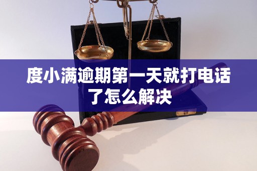 度小满逾期第一天就打电话了怎么解决