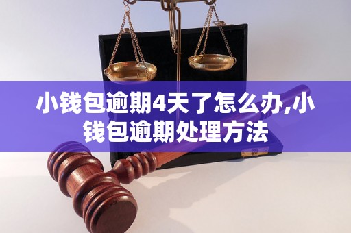 小钱包逾期4天了怎么办,小钱包逾期处理方法