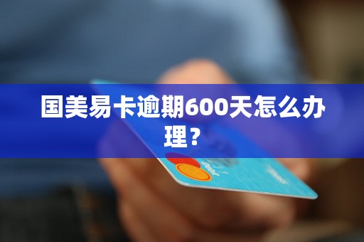 国美易卡逾期600天怎么办理？