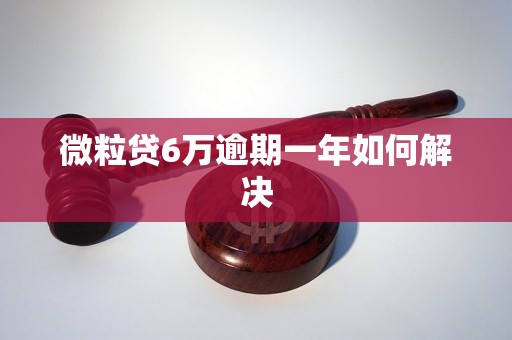 微粒贷6万逾期一年如何解决