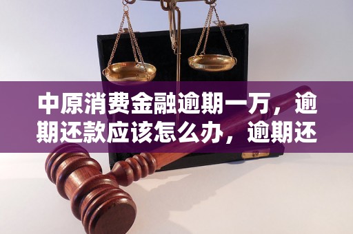 中原消费金融逾期一万，逾期还款应该怎么办，逾期还款后果严重吗