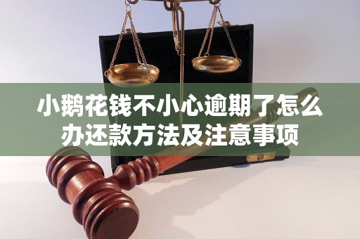 小鹅花钱不小心逾期了怎么办还款方法及注意事项