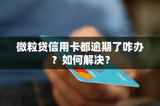 微粒贷信用卡都逾期了咋办？如何解决？