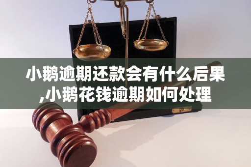 小鹅逾期还款会有什么后果,小鹅花钱逾期如何处理