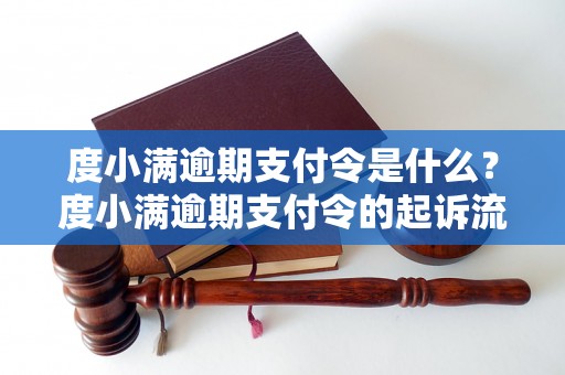 度小满逾期支付令是什么？度小满逾期支付令的起诉流程是怎样的？