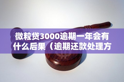 微粒贷3000逾期一年会有什么后果（逾期还款处理方式详解）