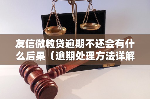 友信微粒贷逾期不还会有什么后果（逾期处理方法详解）