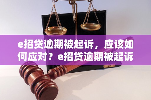 e招贷逾期被起诉，应该如何应对？e招贷逾期被起诉后的解决方案