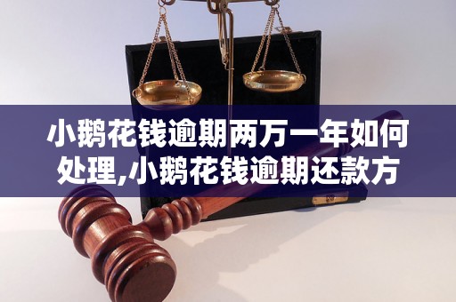 小鹅花钱逾期两万一年如何处理,小鹅花钱逾期还款方法解析