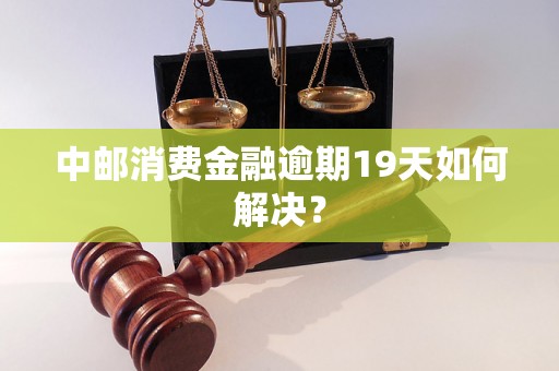 中邮消费金融逾期19天如何解决？