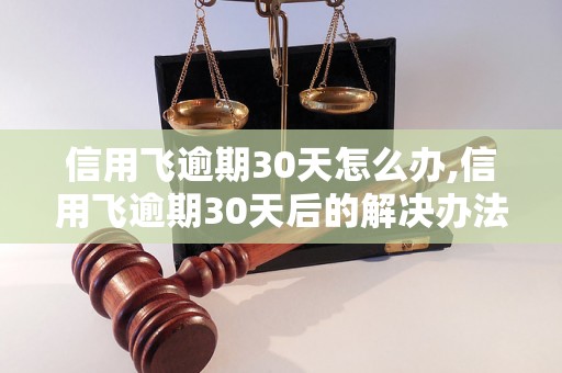 信用飞逾期30天怎么办,信用飞逾期30天后的解决办法