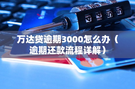 万达贷逾期3000怎么办（逾期还款流程详解）