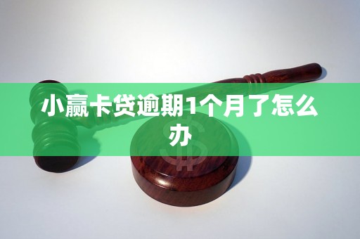 小赢卡贷逾期1个月了怎么办