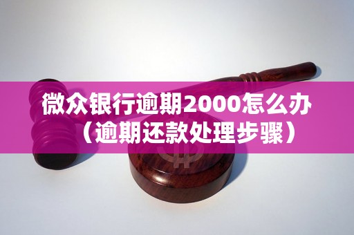 微众银行逾期2000怎么办（逾期还款处理步骤）