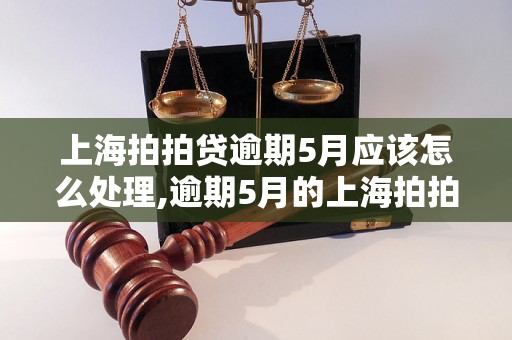 上海拍拍贷逾期5月应该怎么处理,逾期5月的上海拍拍贷还款方法