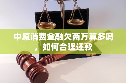 中原消费金融欠两万算多吗，如何合理还款