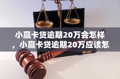 小赢卡贷逾期20万会怎样，小赢卡贷逾期20万应该怎么处理