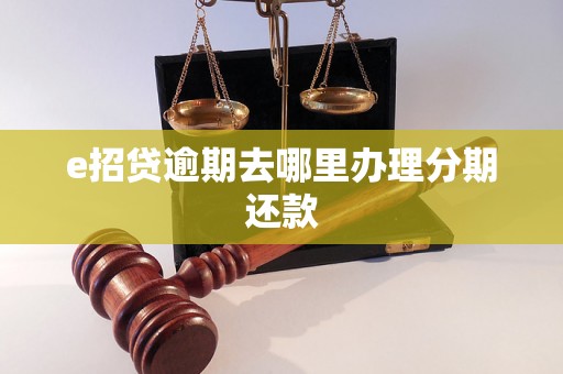 e招贷逾期去哪里办理分期还款