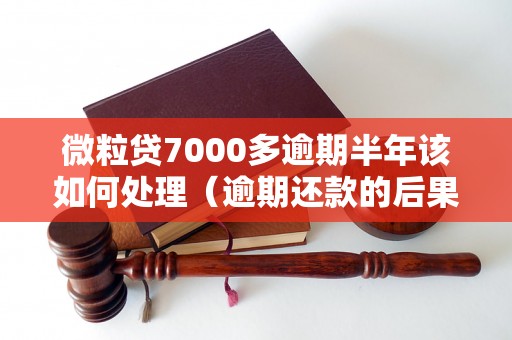 微粒贷7000多逾期半年该如何处理（逾期还款的后果和解决方法）