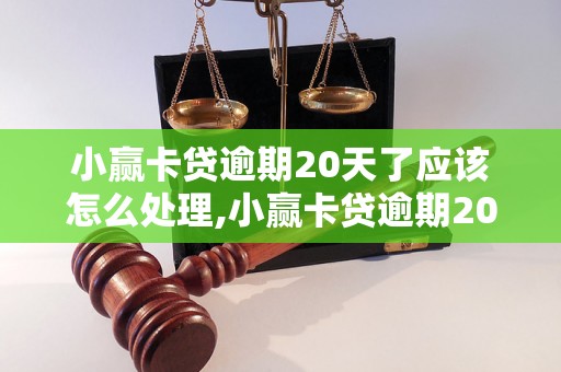 小赢卡贷逾期20天了应该怎么处理,小赢卡贷逾期20天了会有什么后果