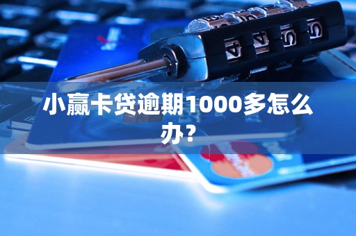 小赢卡贷逾期1000多怎么办？