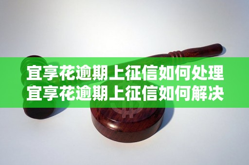 宜享花逾期上征信如何处理宜享花逾期上征信如何解决