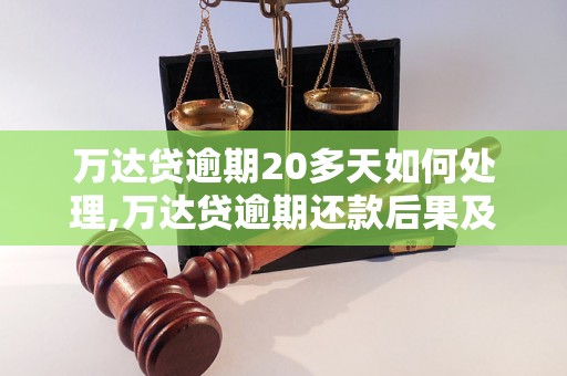 万达贷逾期20多天如何处理,万达贷逾期还款后果及解决方法