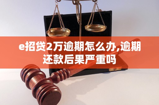 e招贷2万逾期怎么办,逾期还款后果严重吗