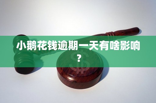 小鹅花钱逾期一天有啥影响？