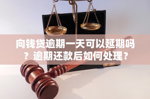 向钱贷逾期一天可以延期吗？逾期还款后如何处理？