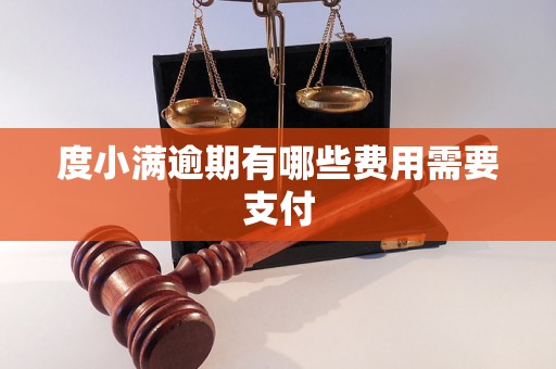 度小满逾期有哪些费用需要支付