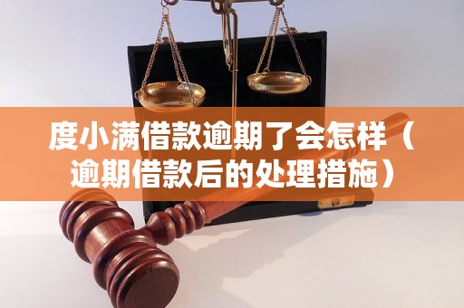 度小满借款逾期了会怎样（逾期借款后的处理措施）