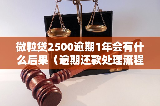 微粒贷2500逾期1年会有什么后果（逾期还款处理流程和注意事项）