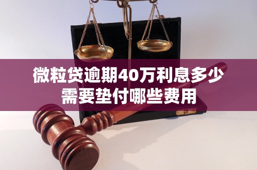 微粒贷逾期40万利息多少需要垫付哪些费用