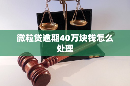 微粒贷逾期40万块钱怎么处理