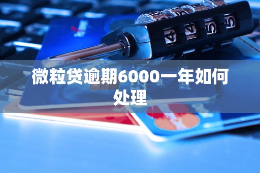 微粒贷逾期6000一年如何处理