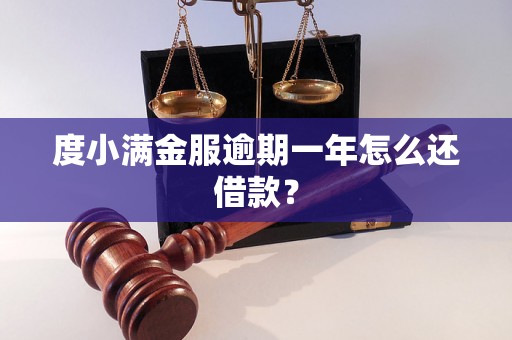 度小满金服逾期一年怎么还借款？