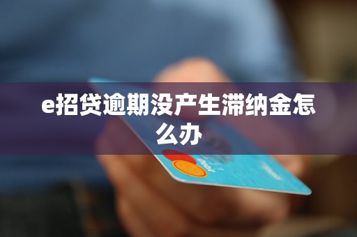 e招贷逾期没产生滞纳金怎么办