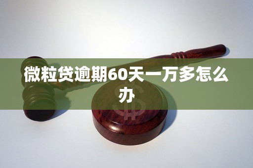 微粒贷逾期60天一万多怎么办