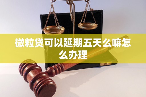 微粒贷可以延期五天么嘛怎么办理